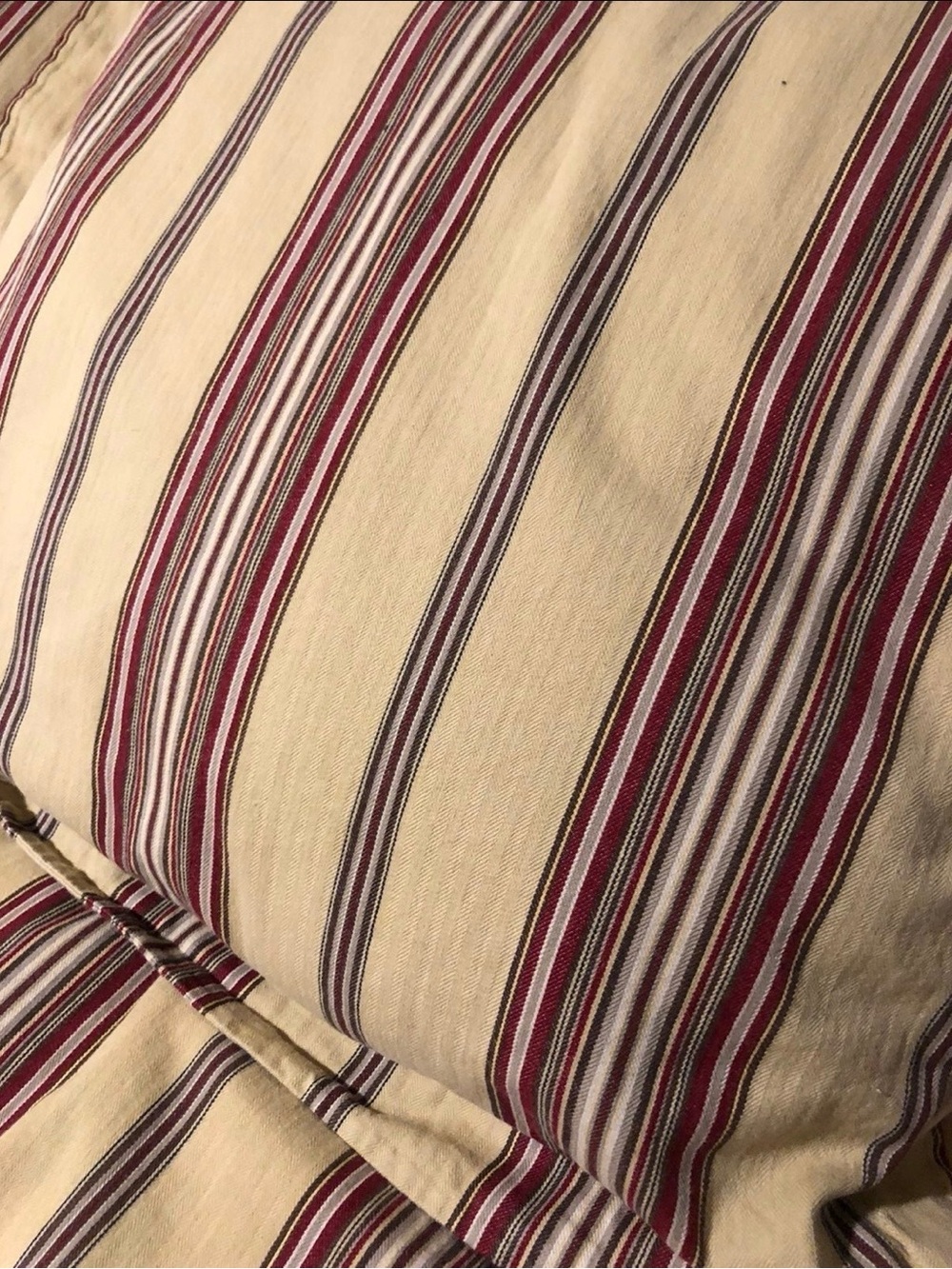 Pottery Barn Montgomery Stripe Duvet and Shams